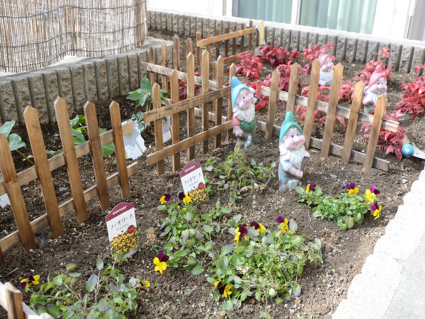 たのしい家本八幡（庭）