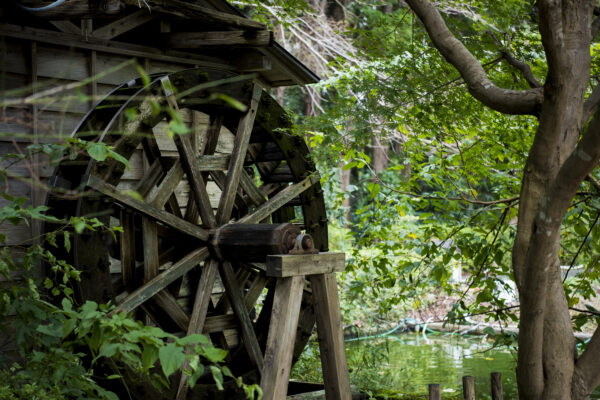 総泉病院介護医療院（敷地内庭園水車）