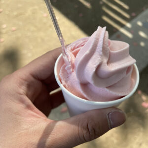 [千葉市中央区]千葉公園の自然と、さくらもちソフト